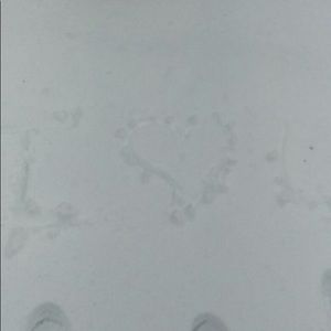 Meet your Posher, Tasha